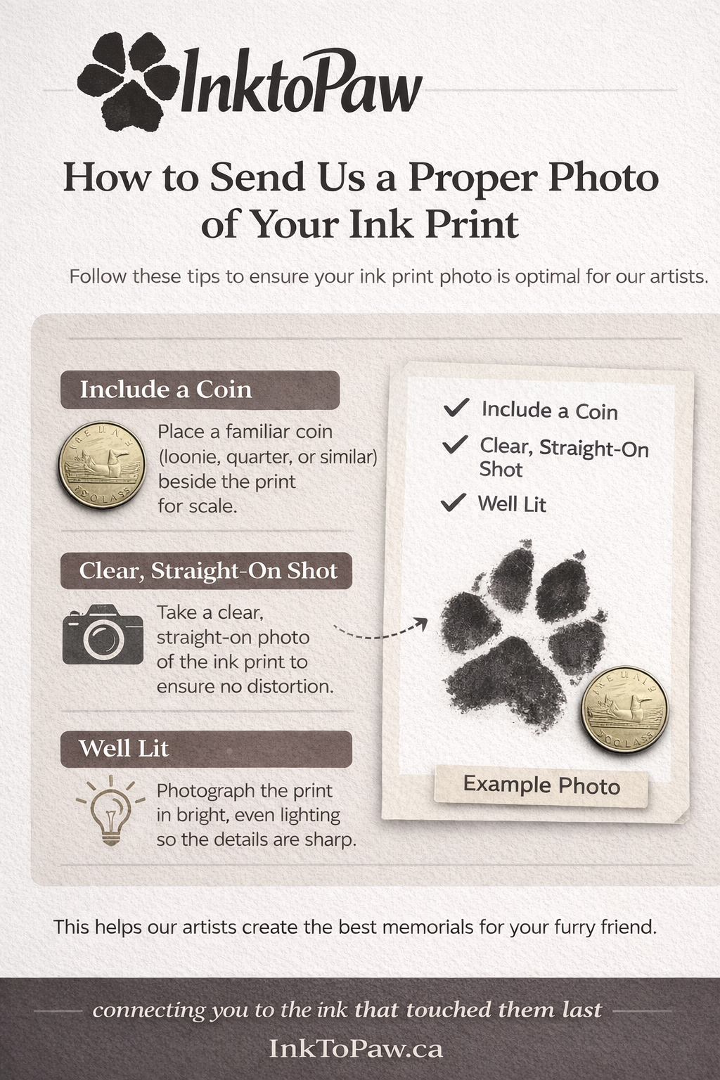 How to photograph your paw print